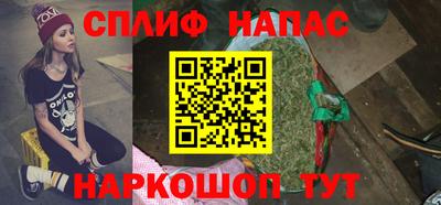 гидра Гусиноозёрск