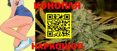 индика Гусь-Хрустальный