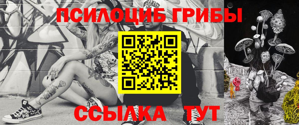 Галлюциногенные грибы GOLDEN TEACHER  Вход с VPN  Псилоцибиновые грибы Cubensis  Мурино 