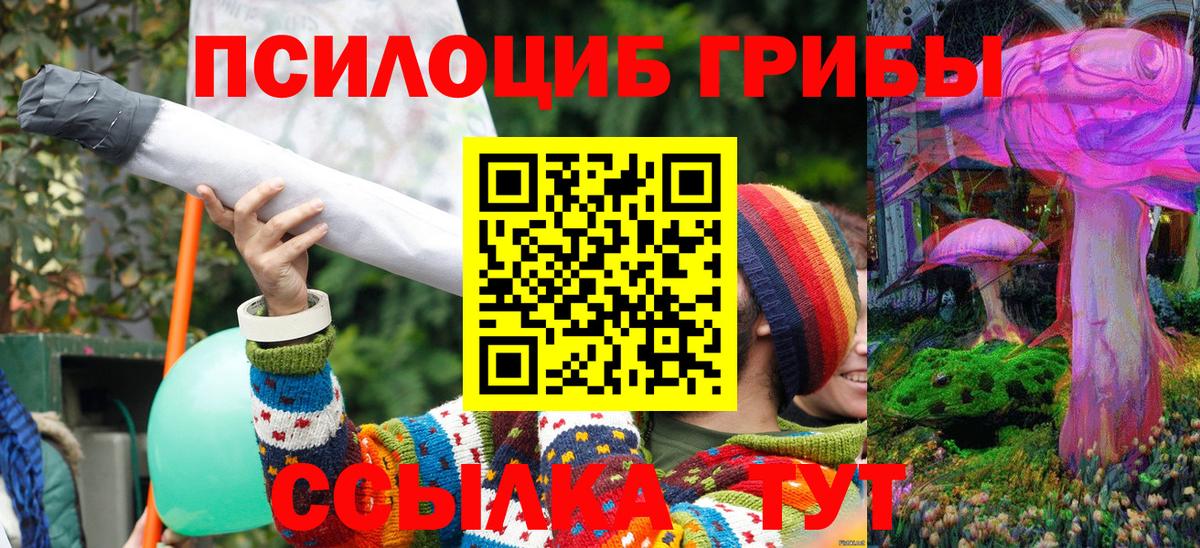 Галлюциногенные грибы MAGIC MUSHROOMS Мурино
